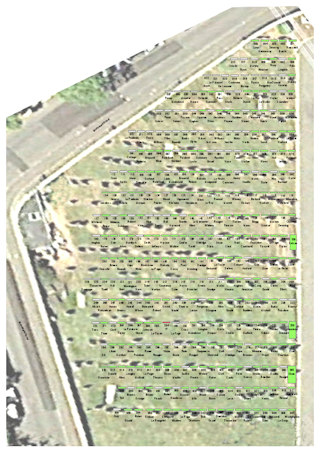 photo of Candie (area 2) Cemetery